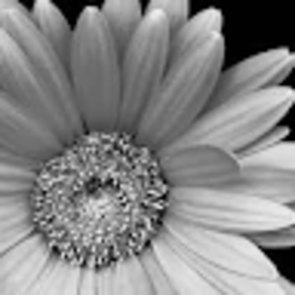 Meet your Posher, Isabel